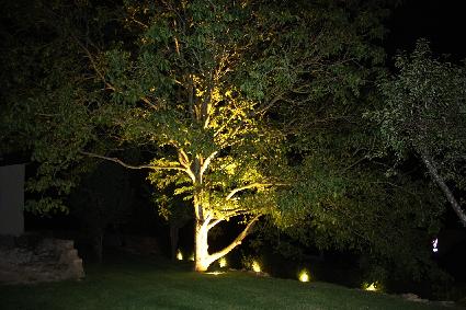 L'éclairage d'un arbre